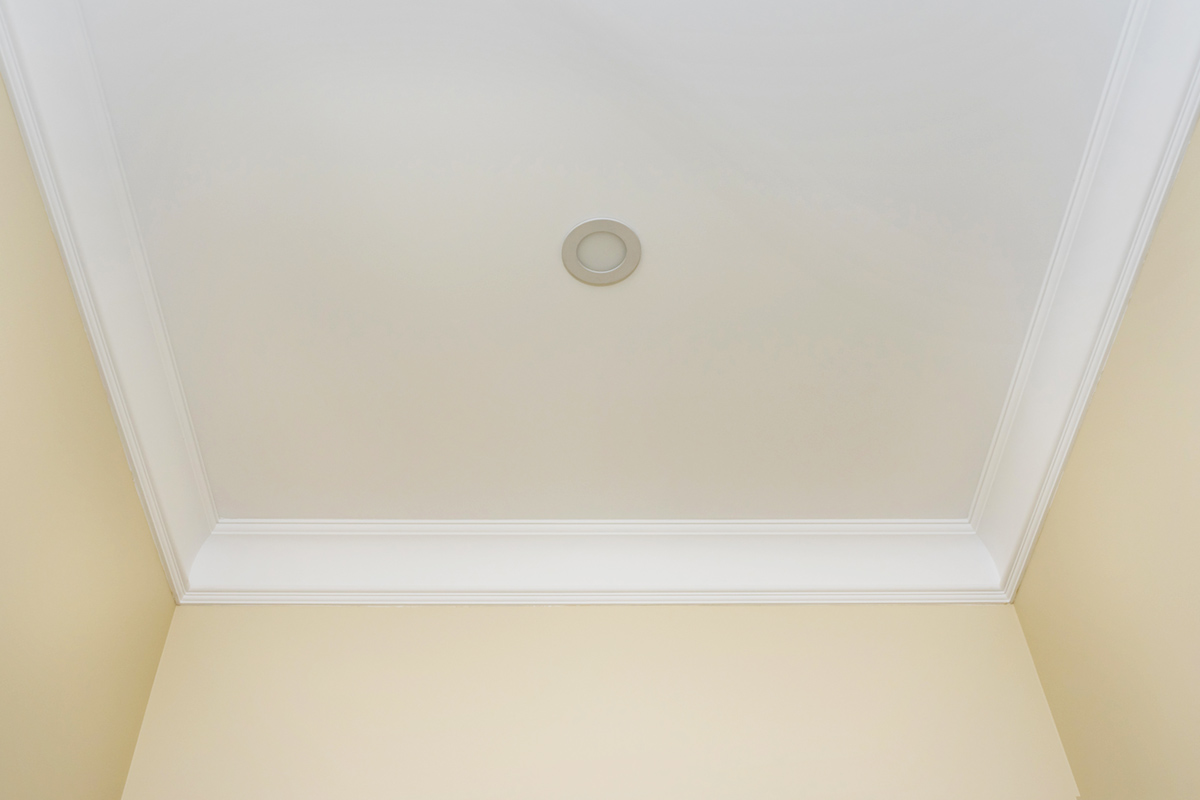 newly installed ceiling coving