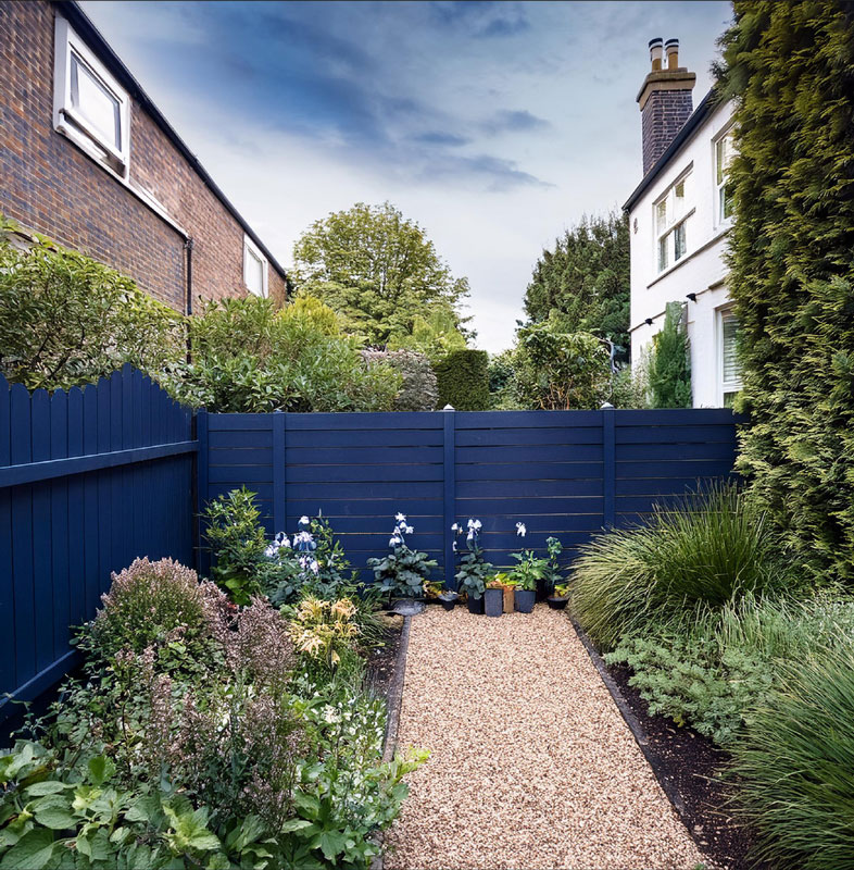 Blue Fence for small garden